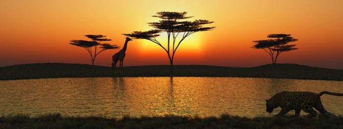 cropped-savanna-sunset-preview